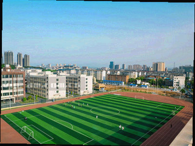 城市剪影与网络节点，表示平台服务趋势